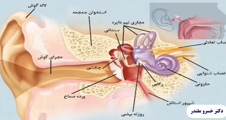سینوزیت (درمان + علائم + تخلیه)
